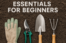 Easy-to-Use Garden Essentials for Beginners